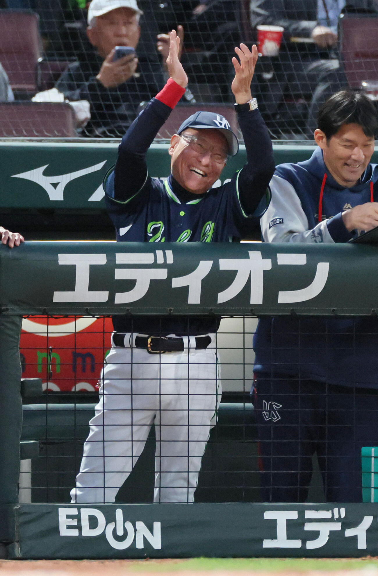 広島対ヤクルト　4回表ヤクルト1死一、三塁、高梨裕稔の右前適時打にベンチで大喜びのヤクルト池山隆寛監督（撮影・加藤孝規）