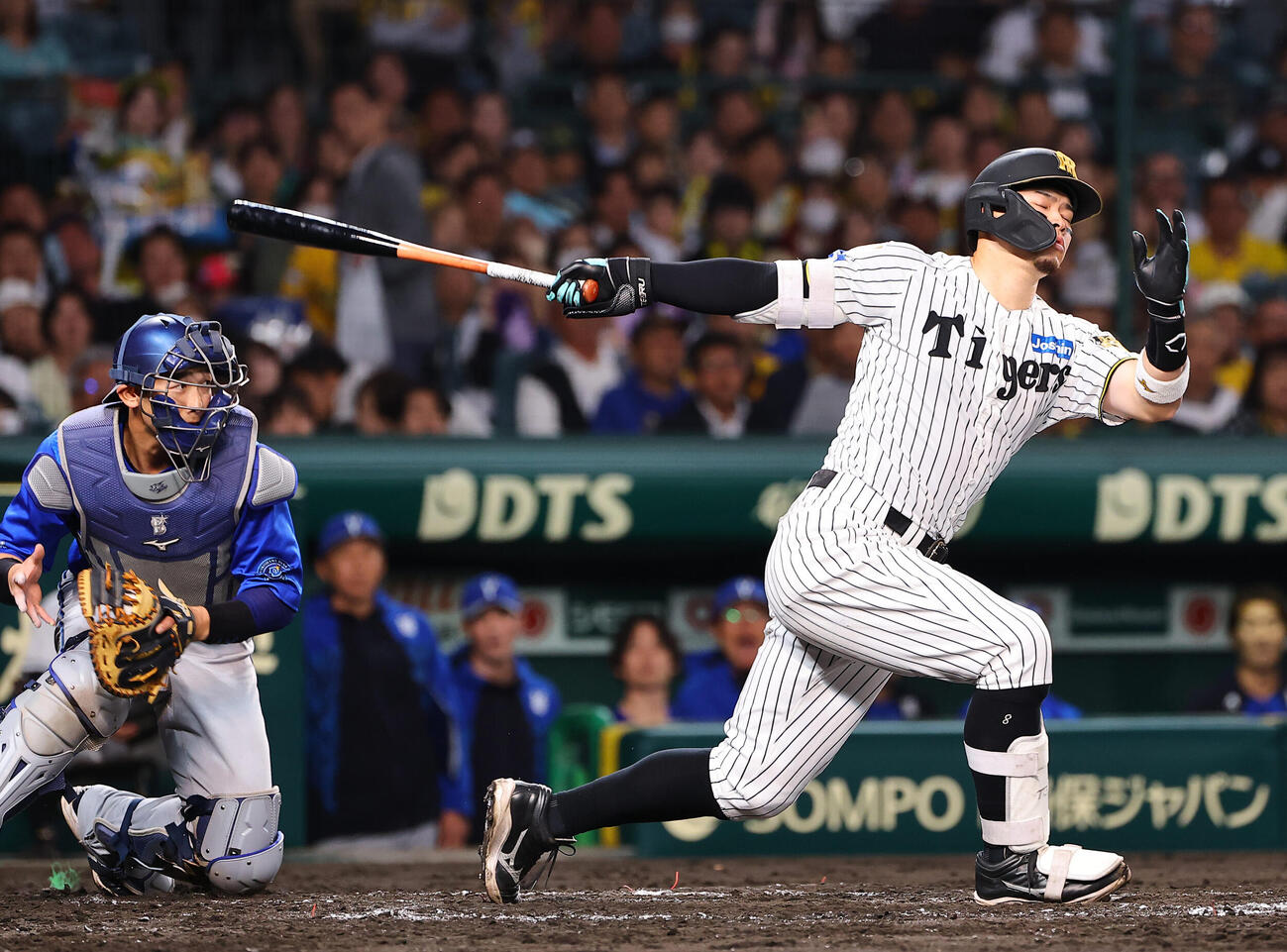 阪神対DeNA 3回裏阪神2死一塁、佐藤輝明は三振に倒れる（撮影・上田博志）