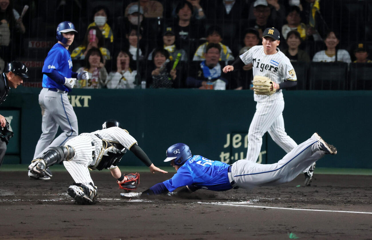 阪神対DeNA 4回表DeNA1死一、二塁、一走山本祐大は京田陽太の左前適時打と相手守備の失策で生還。捕手伏見寅威（撮影・加藤哉）