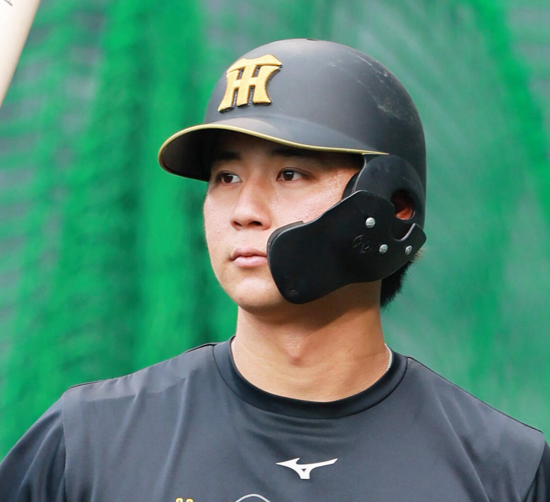 阪神井坪陽生