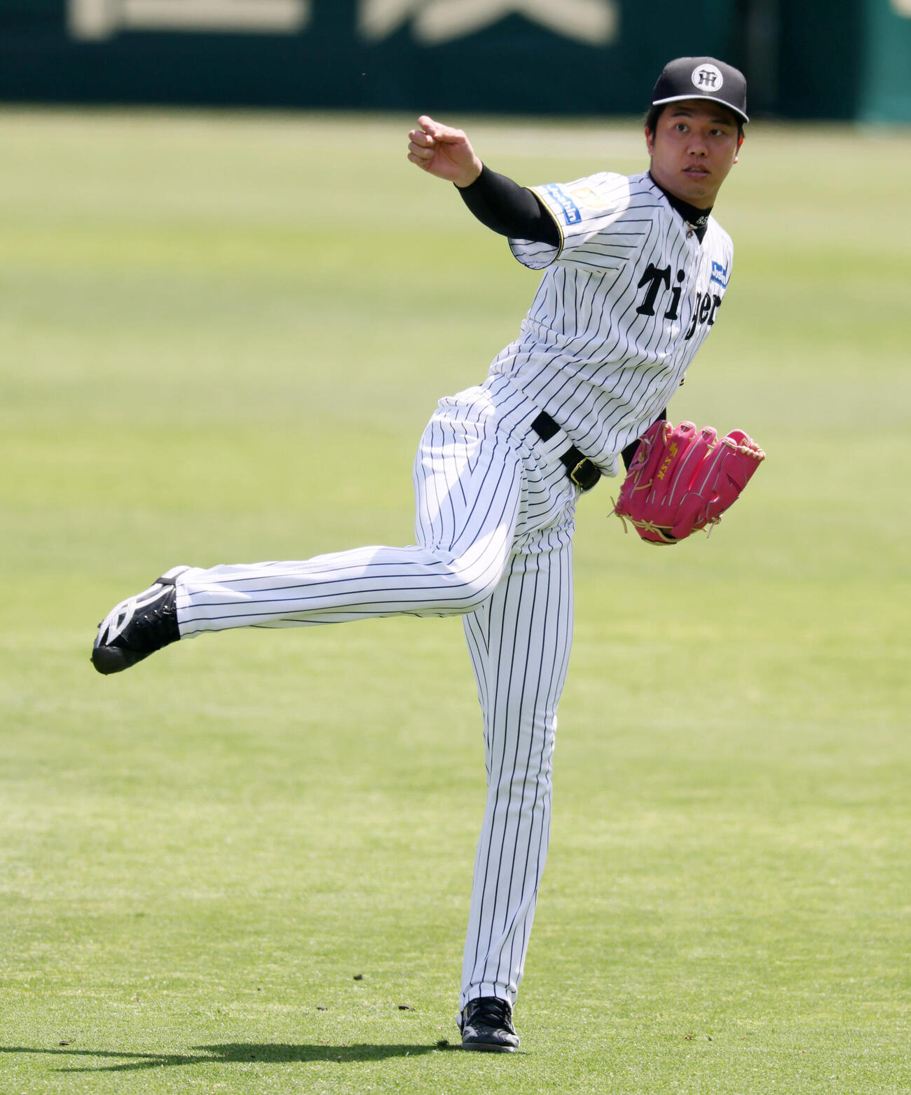 阪神対DeNA　練習でキャッチボールする阪神才木浩人（撮影・加藤哉）