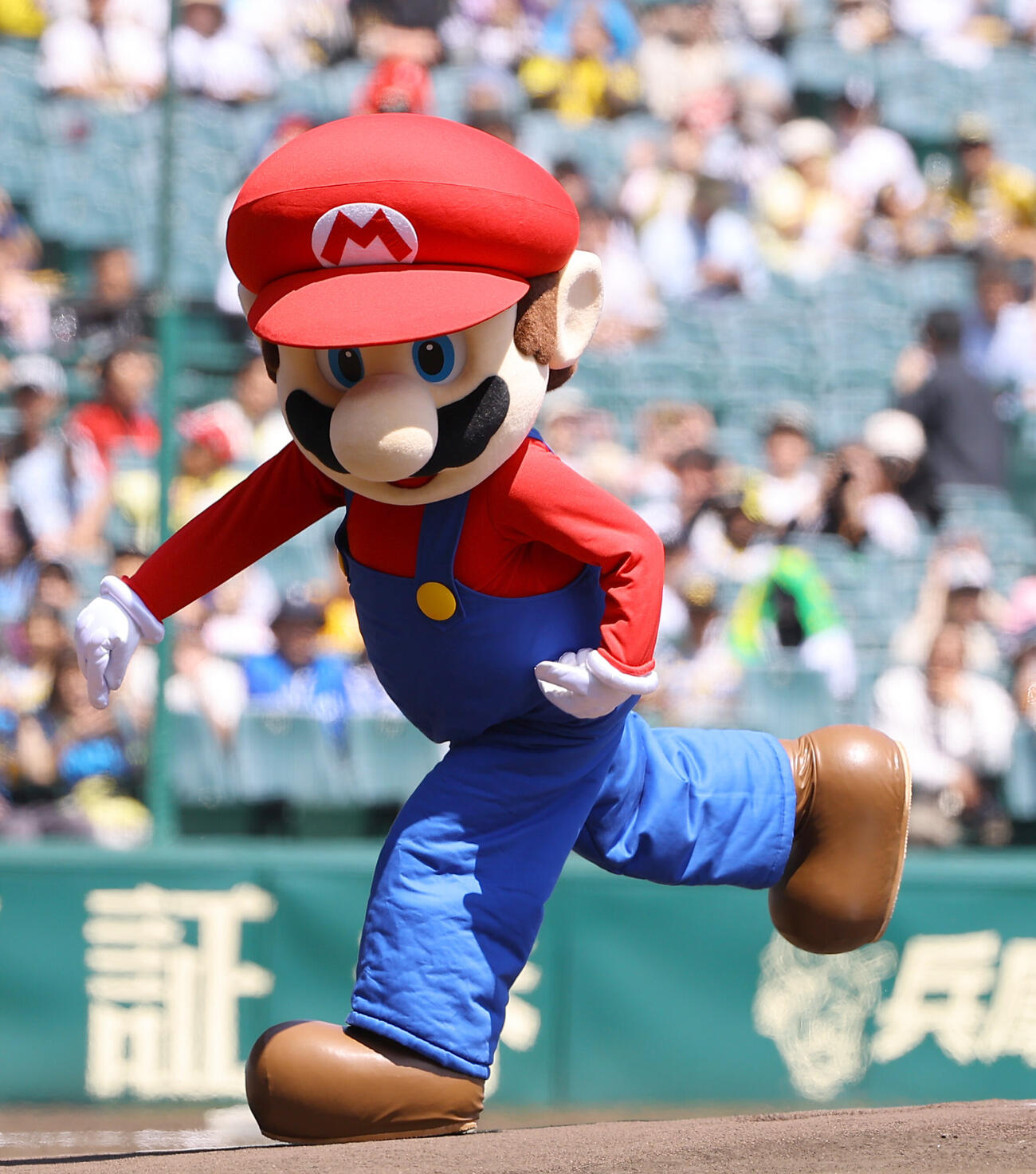 阪神対DeNA　ファーストピッチセレモニーで投球するマリオ（撮影・上田博志）