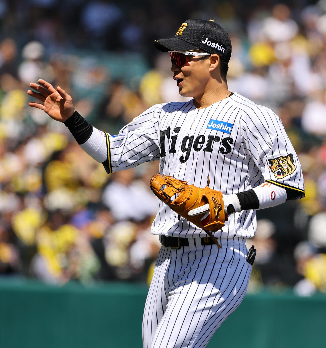 阪神対DeNA 1回表DeNA1死一塁、佐藤輝明の送球を好捕した木浪聖也は笑顔を見せる（撮影・上田博志）