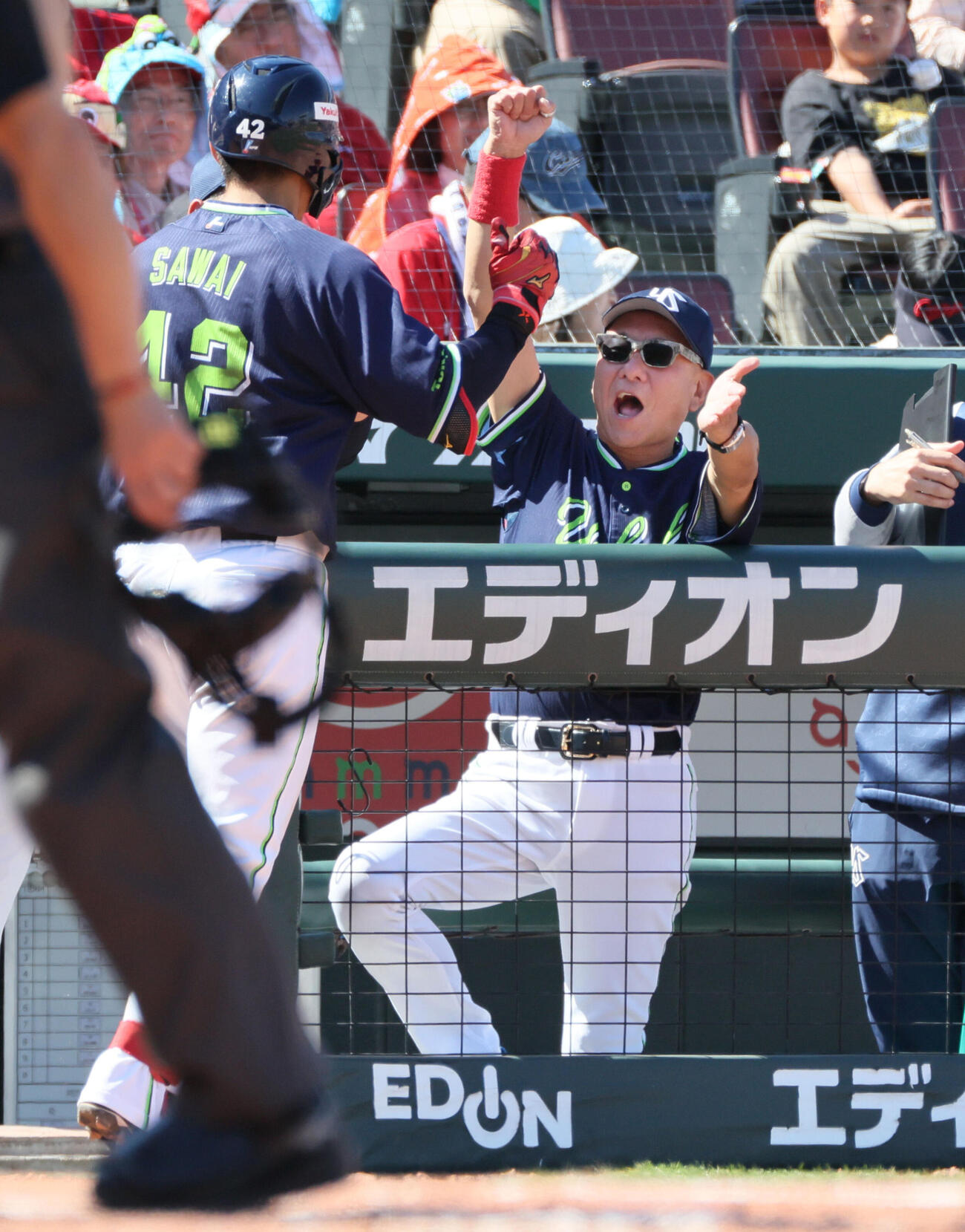 広島対ヤクルト　4回表ヤクルト1死一塁、右中間越え2点本塁打を放った沢井廉を迎えるヤクルト池山隆寛監督（撮影・加藤孝規）