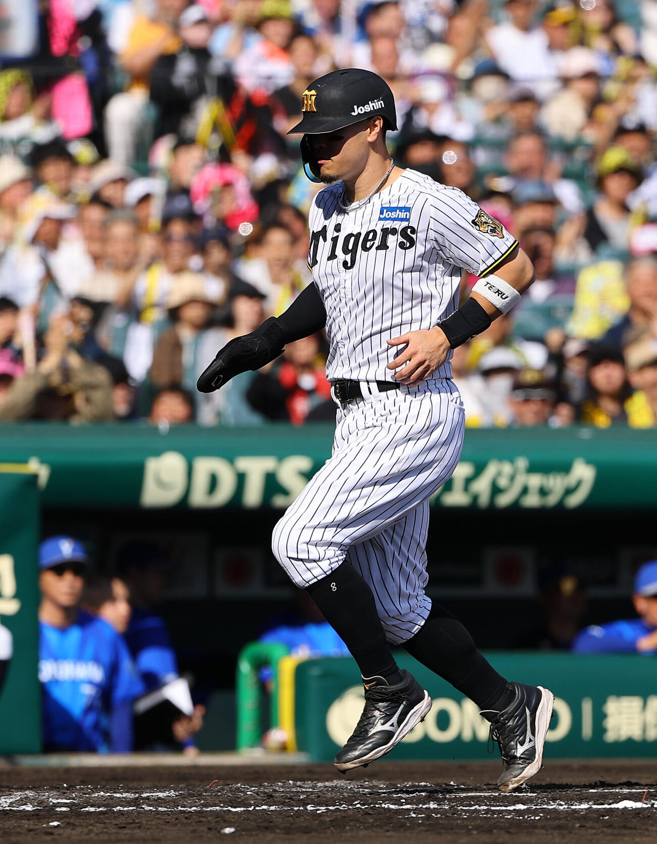 阪神対DeNA 6回裏阪神1死一、三塁、佐藤輝明は木浪聖也の先制犠飛で生還する（撮影・上田博志）