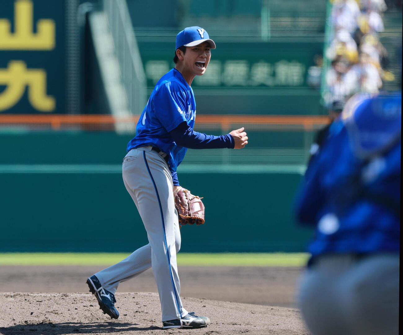 阪神対DeNA DeNA先発の篠木健太郎（撮影・上山淳一）