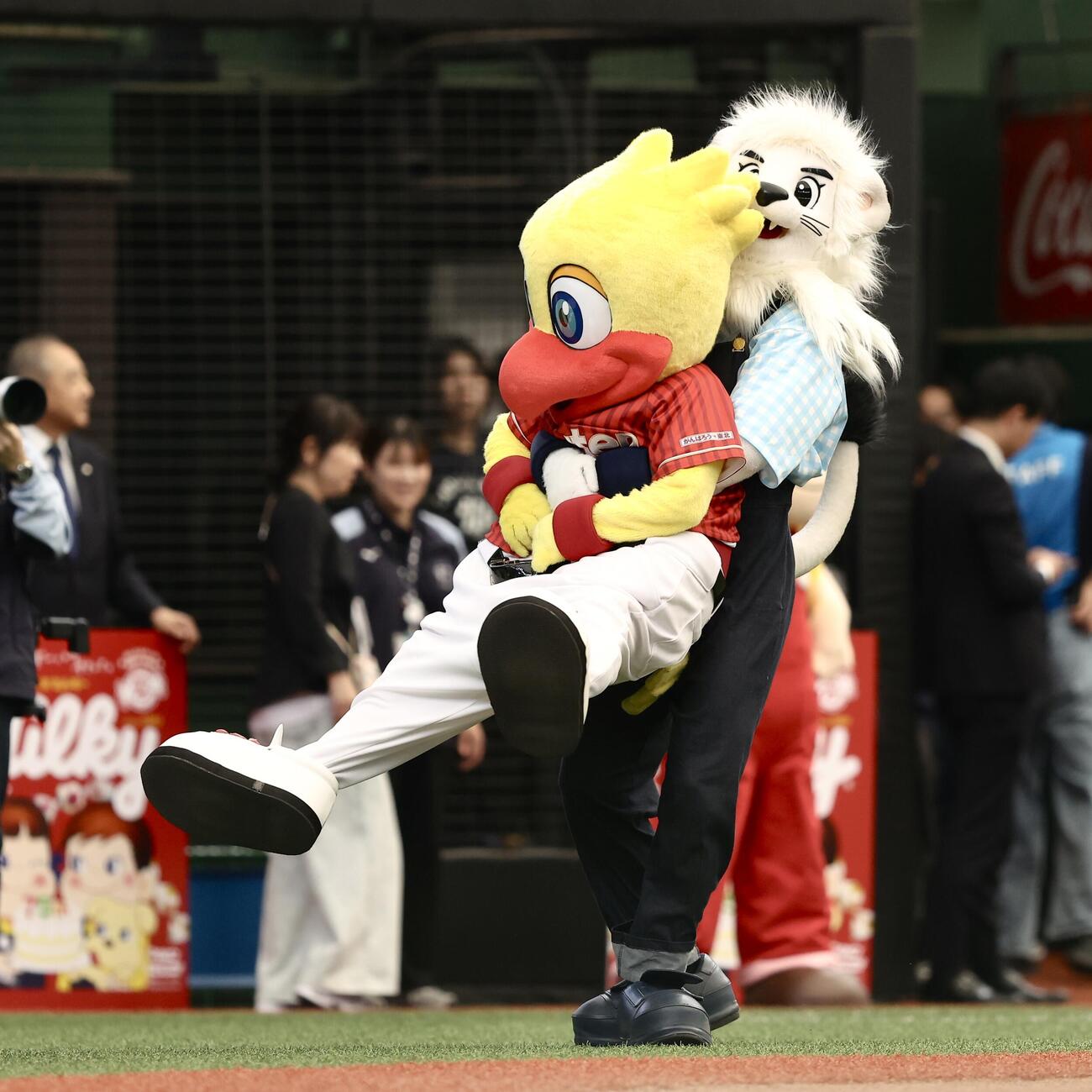 西武対楽天　開始前、スイッチ（左）を振り回すレオ（撮影・河田真司）