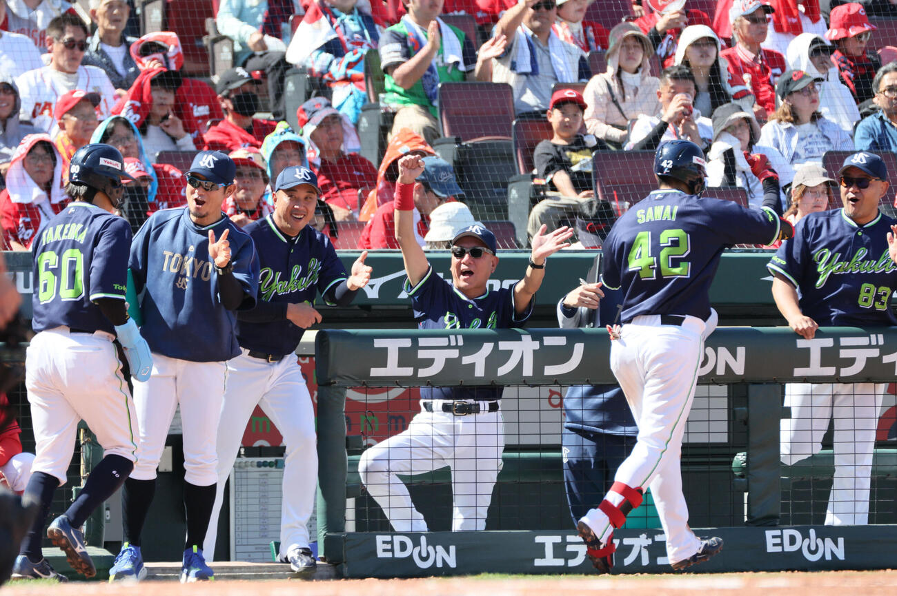 広島対ヤクルト　4回表ヤクルト1死一塁、2点本塁打を放った沢井廉らを出迎えるヤクルト池山隆寛監督（撮影・加藤孝規）