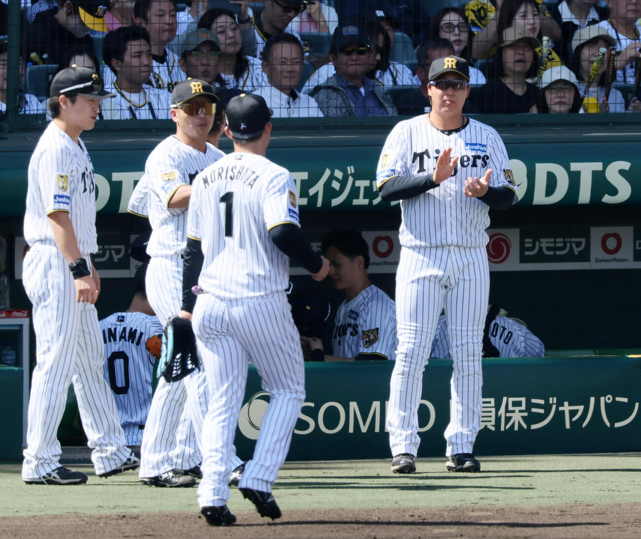 阪神対DeNA 3回表を終えベンチ前でナインを迎える大山悠輔（撮影・加藤哉）