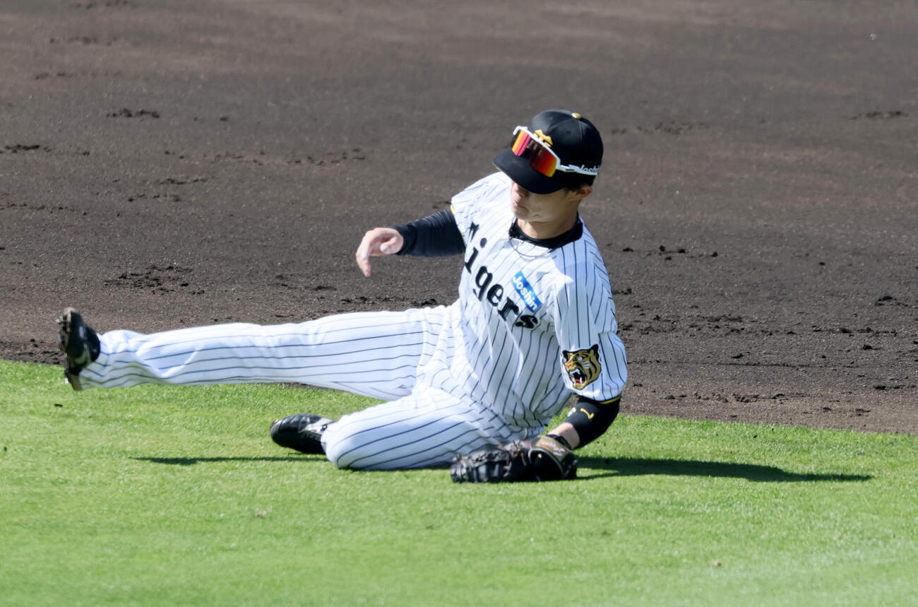 阪神対DeNA 3回表DeNA1死、中野拓夢は成瀬脩人の打球を好捕（撮影・加藤哉）
