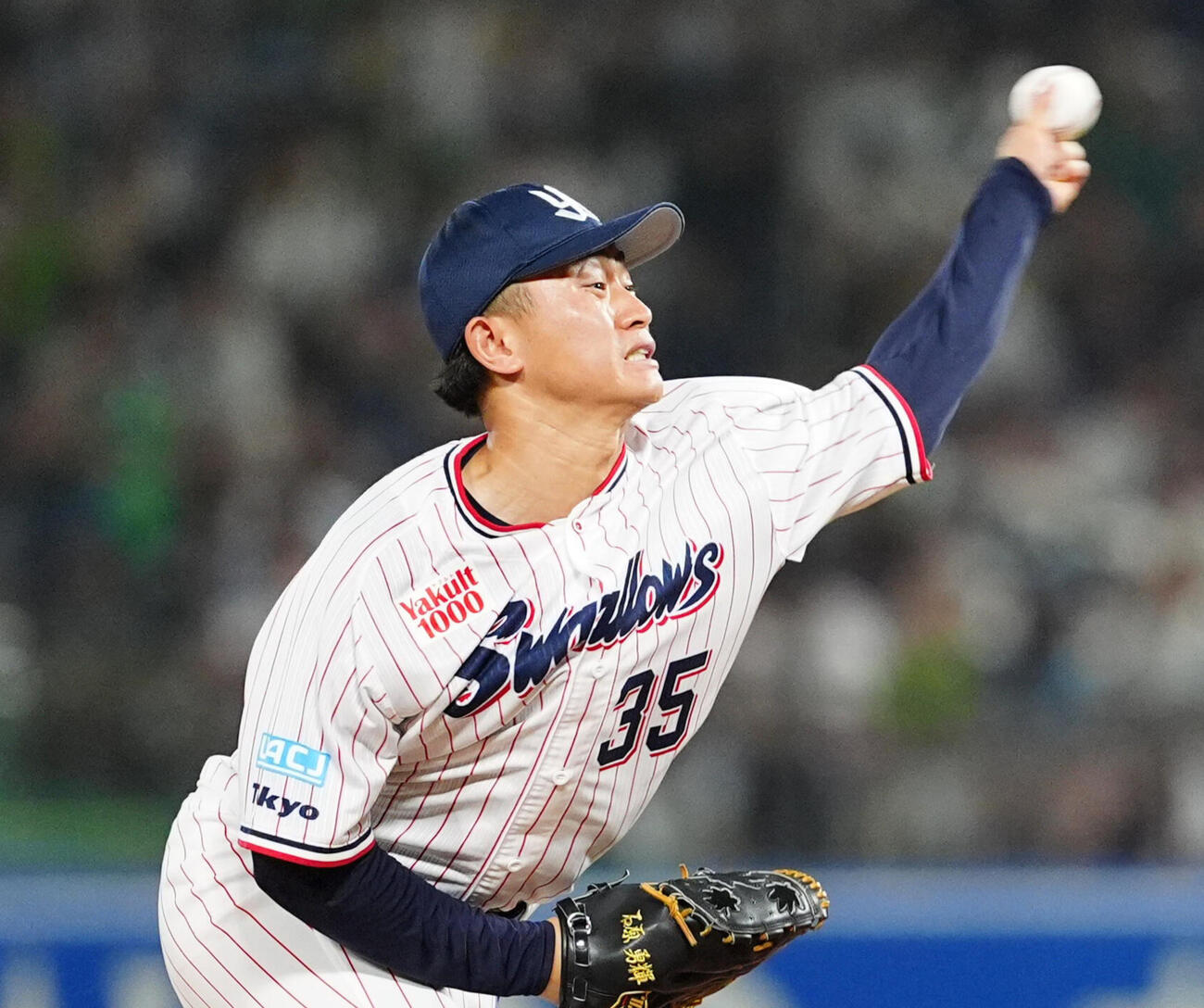 ヤクルト石原勇輝（2025年撮影）