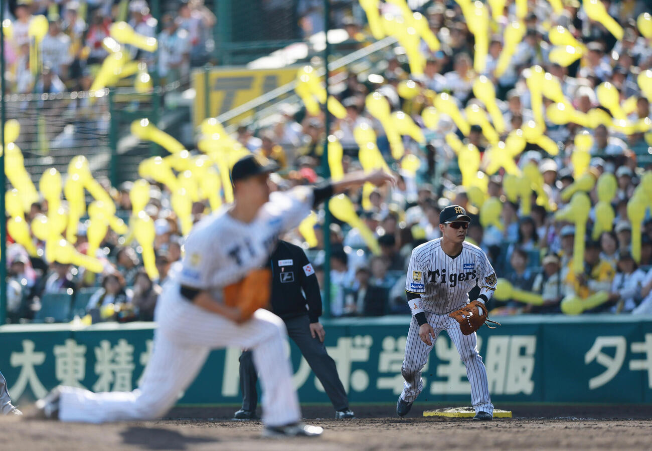 阪神対DeNA 7回表、一塁を守る木浪聖也（撮影・上山淳一）