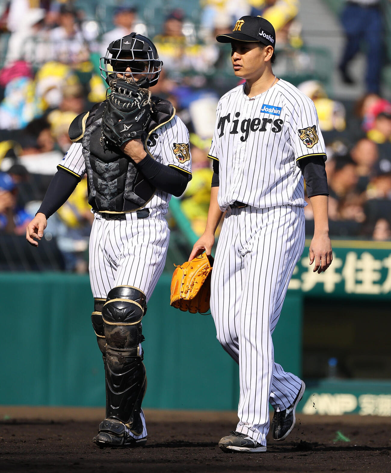 阪神対DeNA　坂本誠志郎（左）と話しながらベンチに引き揚げる大竹耕太郎（撮影・上田博志）
