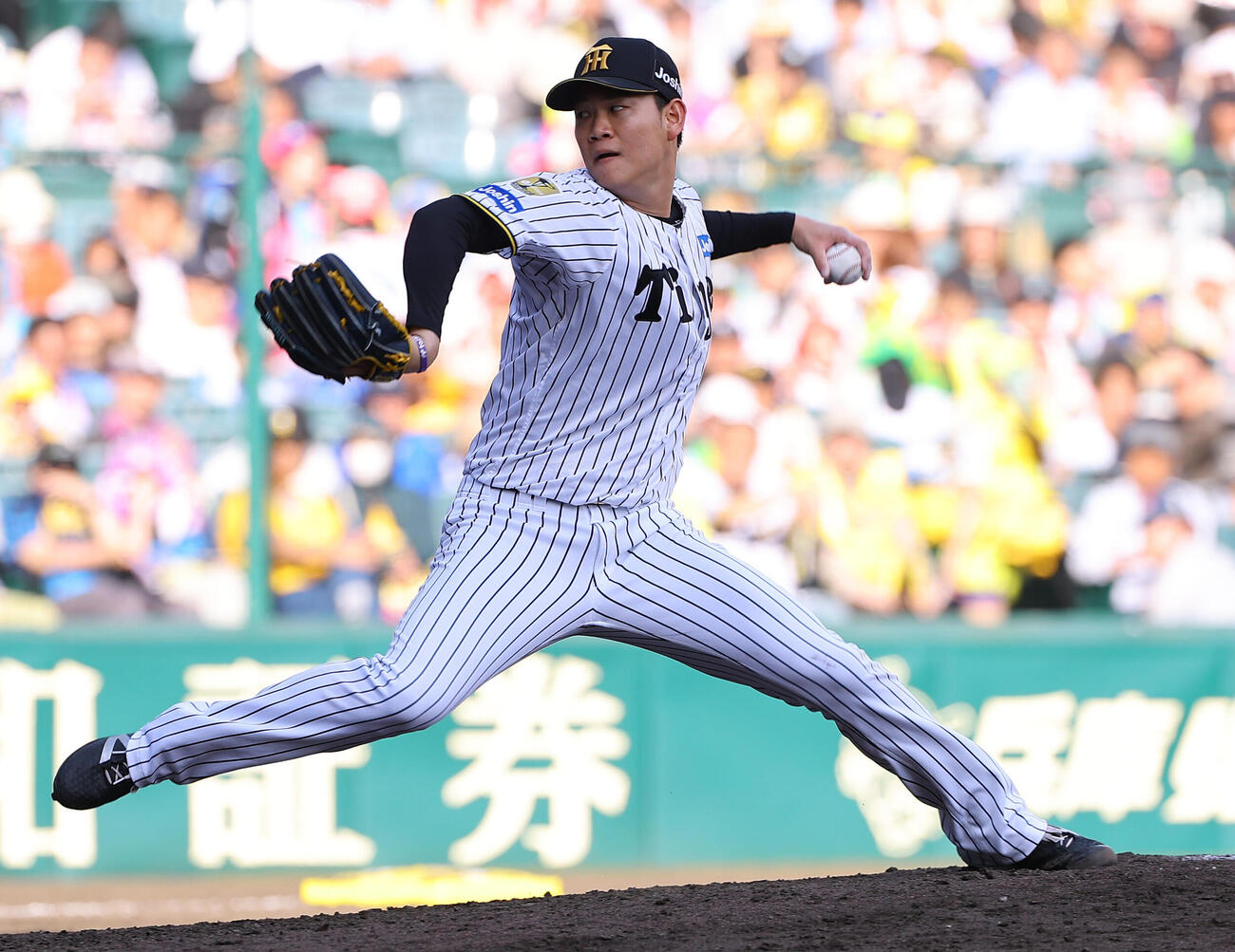 阪神対DeNA　阪神2番手の及川雅貴（撮影・上田博志）
