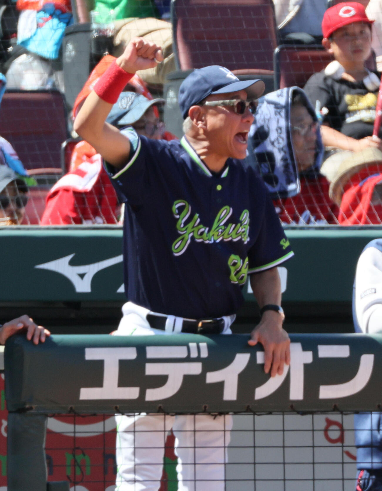 広島対ヤクルト　2回表ヤクルト2死二、三塁、松本健吾の先制左2点適時打を喜ぶヤクルト池山隆寛監督（撮影・加藤孝規）