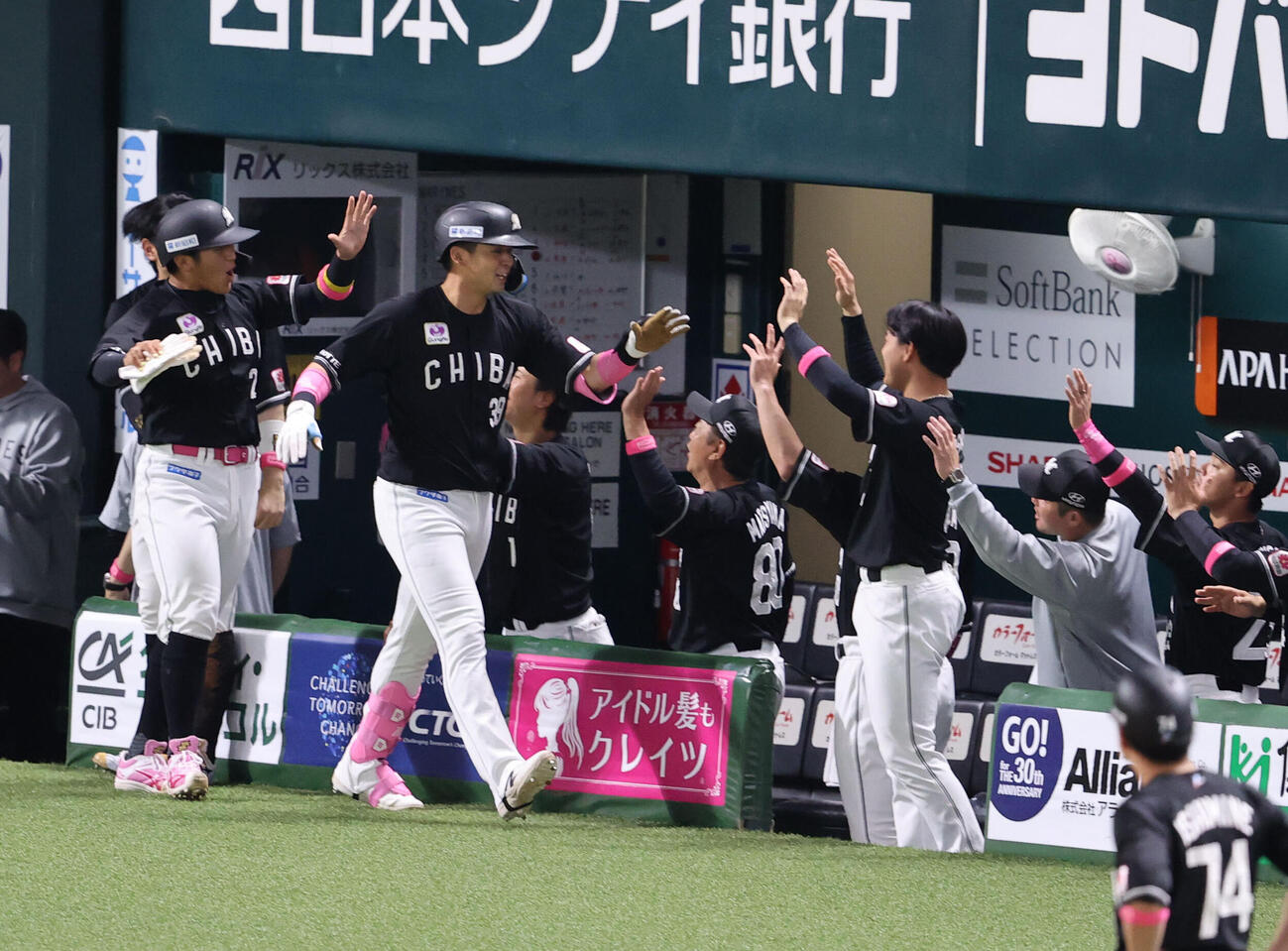 ソフトバンク対ロッテ　2回表ロッテ1死一塁、井上広大は左中間先制2点本塁打を放ちベンチのナインとハイタッチ（撮影・梅根麻紀）