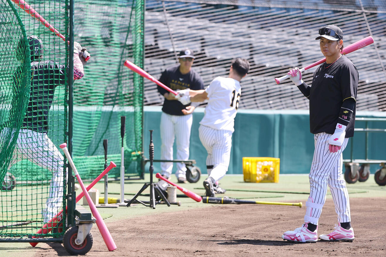 阪神対DeNA　ピンクバットで練習する梅野隆太郎らナイン（撮影・上田博志）