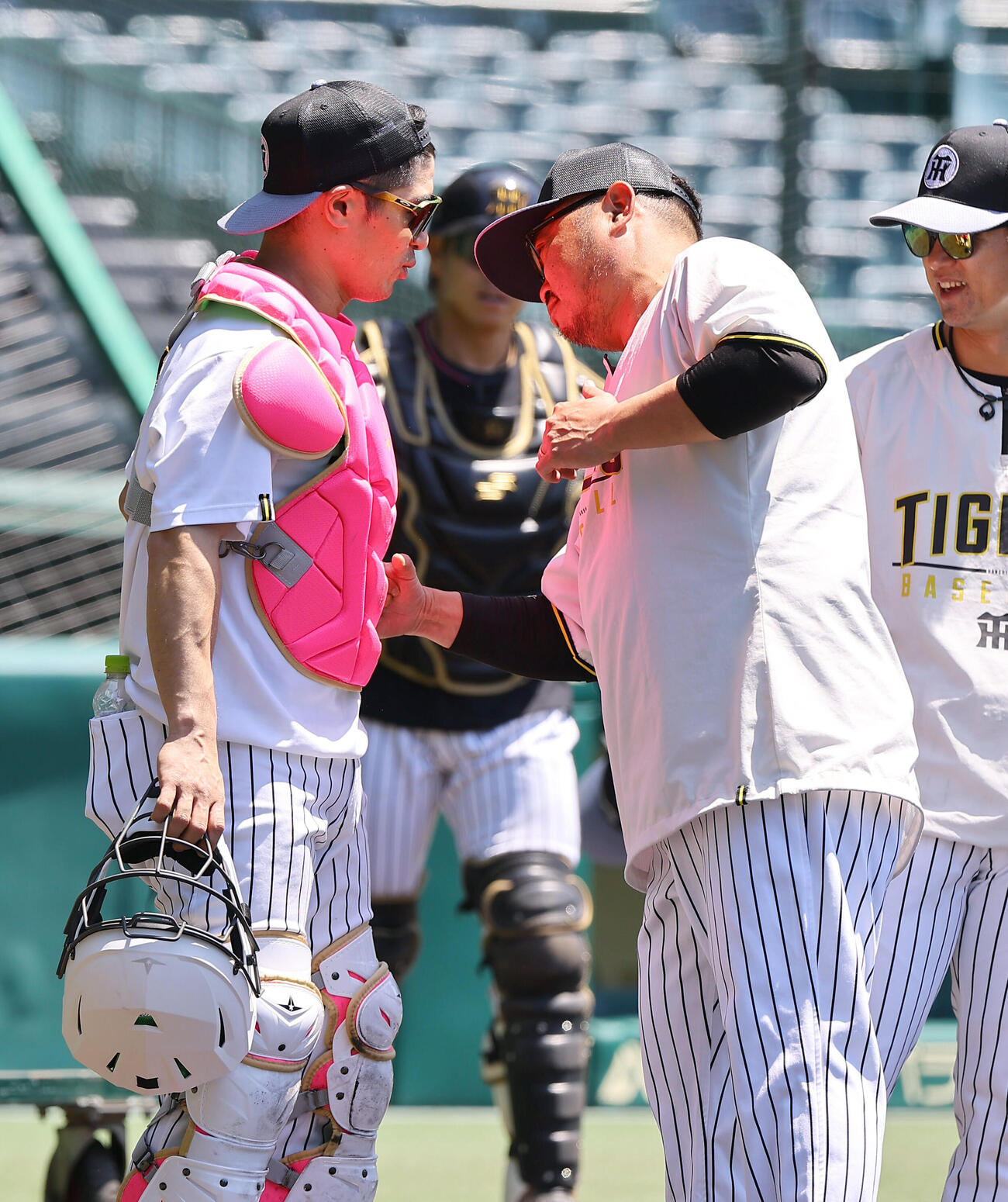 阪神対DeNA　坂本誠志郎（左）のピンクプロテクターにパンチを見舞う小谷野コーチ（撮影・上田博志）