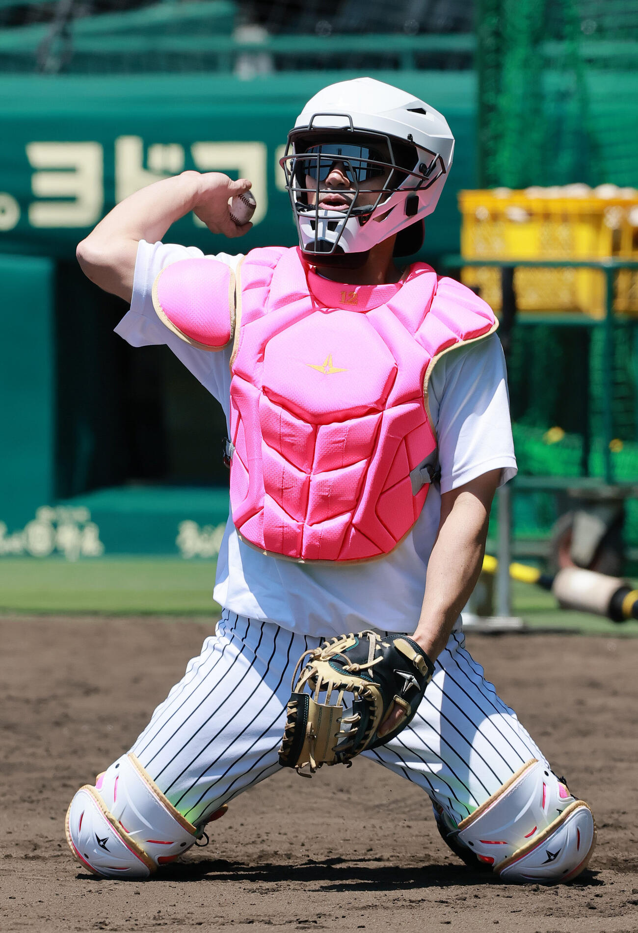 阪神対DeNA NPBマザーズデーでピンク色のプロテクターをつけて練習する阪神坂本誠志郎（撮影・上山淳一）