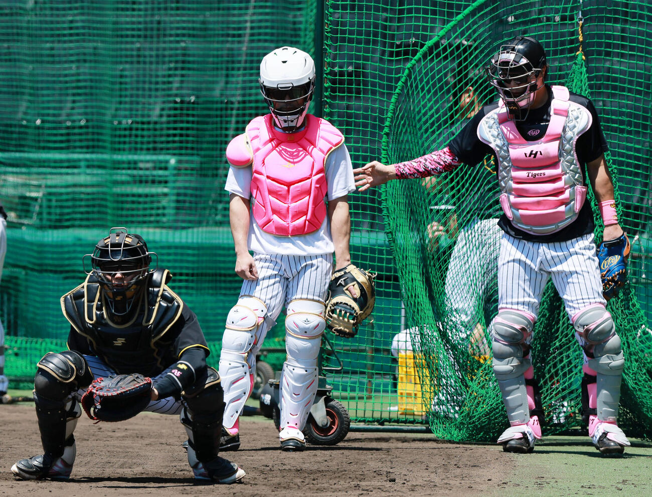 阪神対DeNA NPBマザーズデーでピンク色のプロテクターをつけて練習する阪神坂本誠志郎（中央）と伏見寅威（右）。左は梅野隆太郎（撮影・上山淳一）