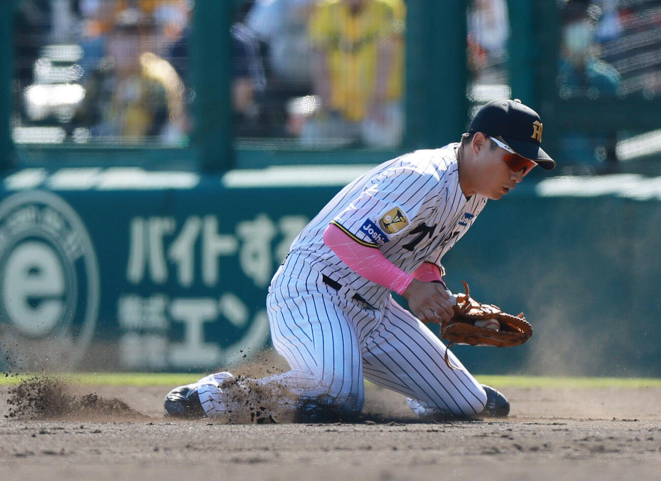 阪神対DeNA 5回表DeNA無死、一塁手木浪聖也は勝又温史を一ゴロに仕留める（撮影・上山淳一）