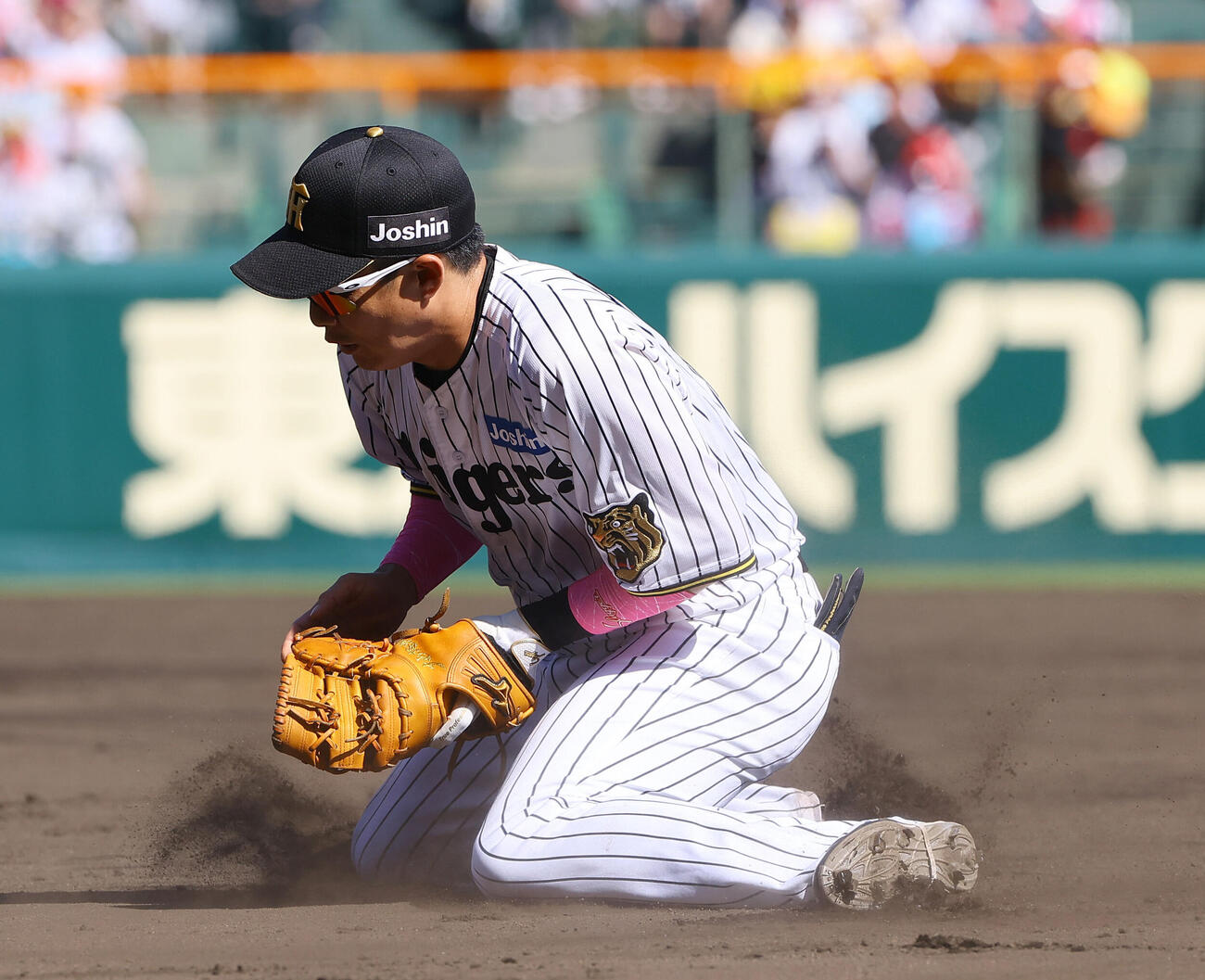 阪神対DeNA 5回表DeNA無死、木浪聖也は勝又温史の一ゴロをさばく（撮影・上田博志）