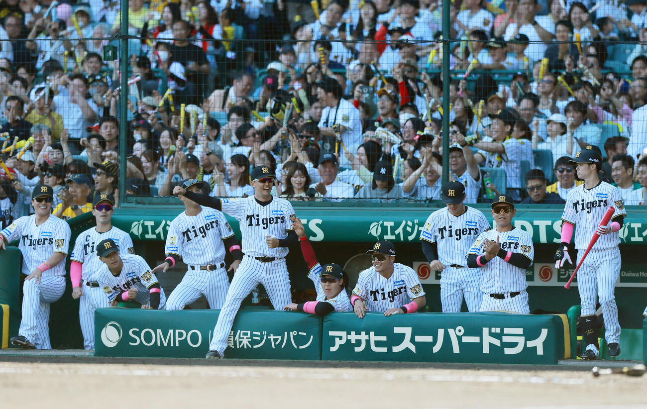 阪神対DeNA 5回裏阪神1死一、三塁、才木浩人がセーフティスクイズを決め盛り上がる阪神ナイン（撮影・上山淳一）