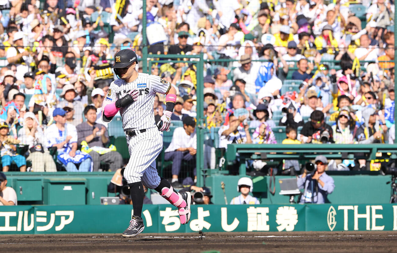 阪神対DeNA 6回裏阪神1死、佐藤輝明はソロ本塁打を放つ（撮影・上田博志）