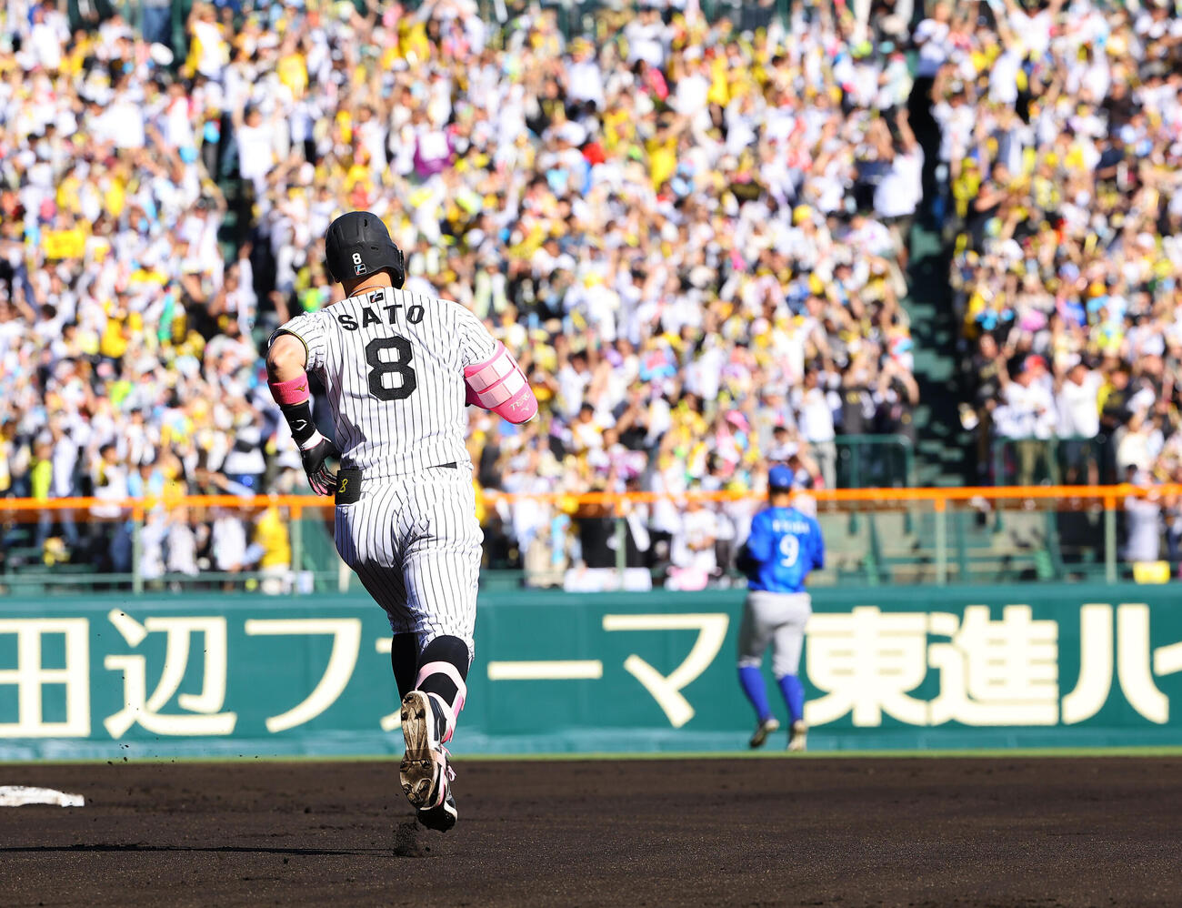 阪神対DeNA 6回裏阪神1死、佐藤輝明はソロ本塁打を放つ（撮影・上田博志）