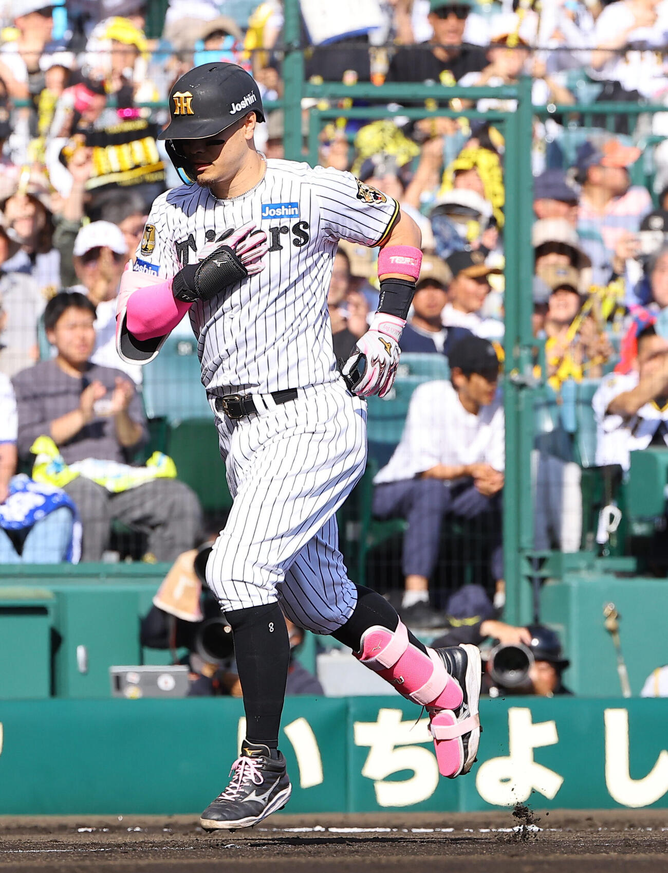 阪神対DeNA 6回裏阪神1死、佐藤輝明はソロ本塁打を放つ（撮影・上田博志）