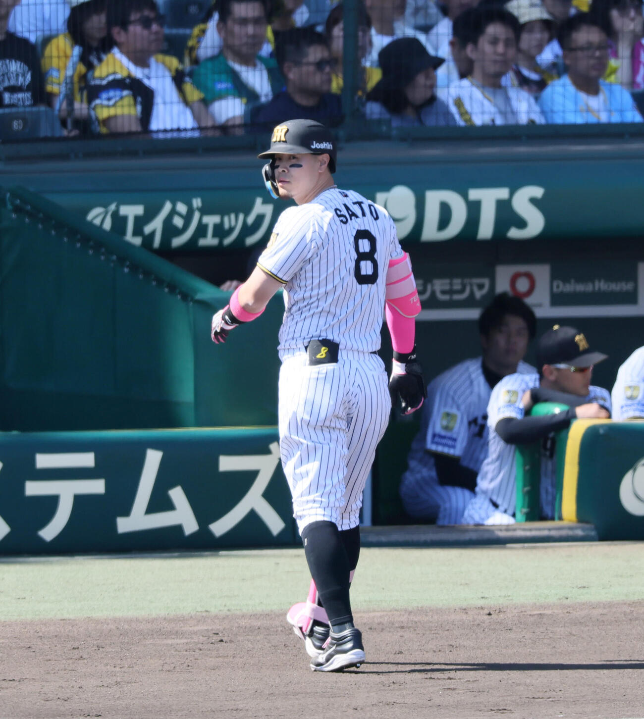 阪神対DeNA 2回裏阪神無死、一ゴロに終わった佐藤輝明（撮影・加藤哉）