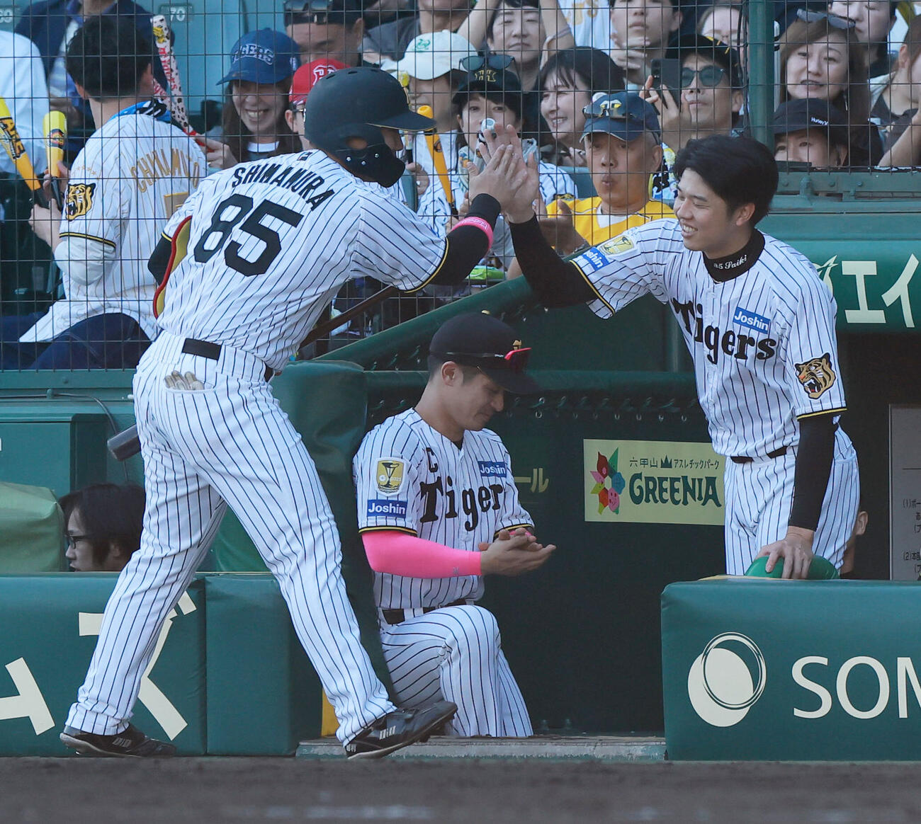 阪神対DeNA 7回裏阪神1死二塁、才木浩人（右）は適時打を放ち交代となった代打嶋村麟士朗を出迎える（撮影・上山淳一）