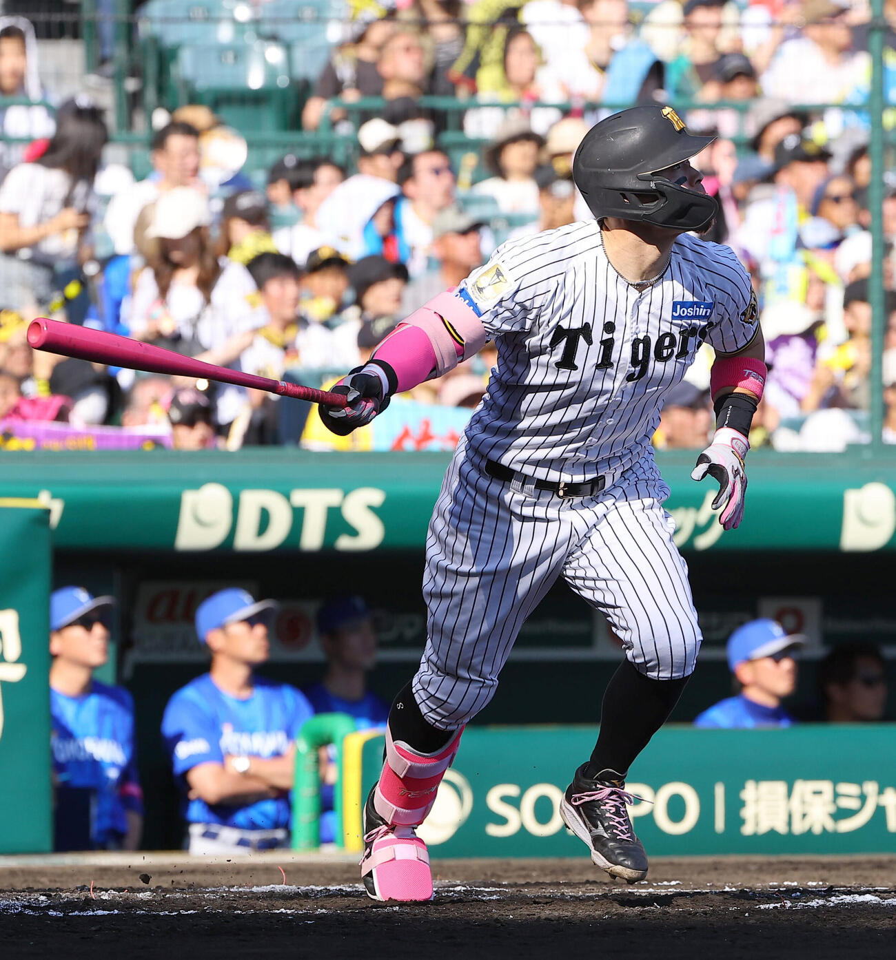 阪神対DeNA 6回裏阪神1死、佐藤輝明はソロ本塁打を放つ（撮影・上田博志）