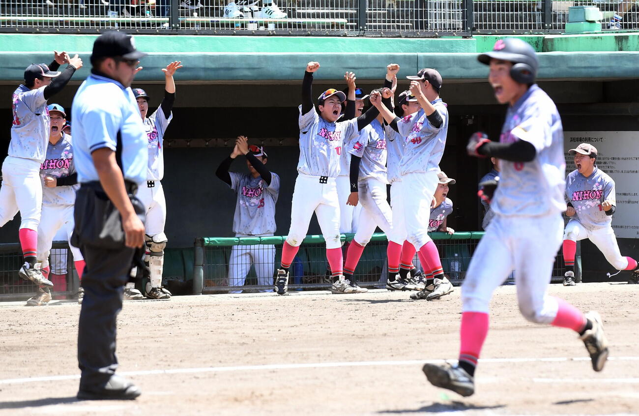 8回の再逆転に沸く、日大国際関係の選手たち（撮影・前田和哉）
