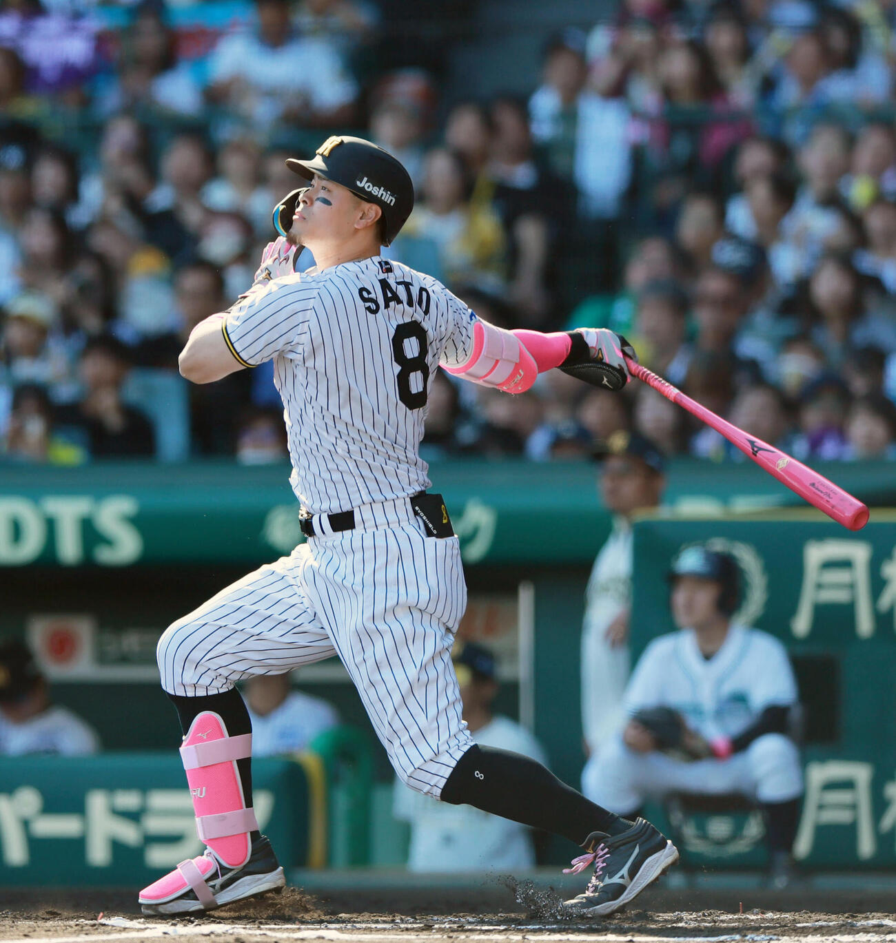 阪神対DeNA 6回裏阪神1死、佐藤輝明はソロ本塁打を放つ（撮影・上山淳一）