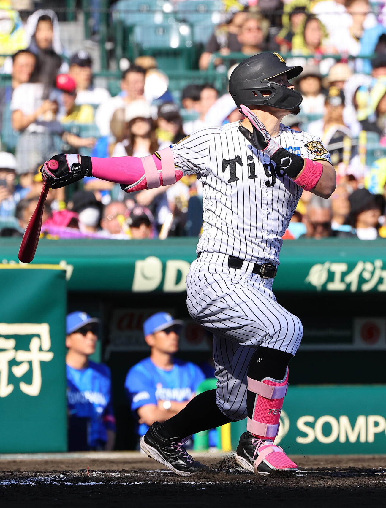 阪神対DeNA 6回裏阪神1死、佐藤輝明はソロ本塁打を放つ（撮影・上田博志）