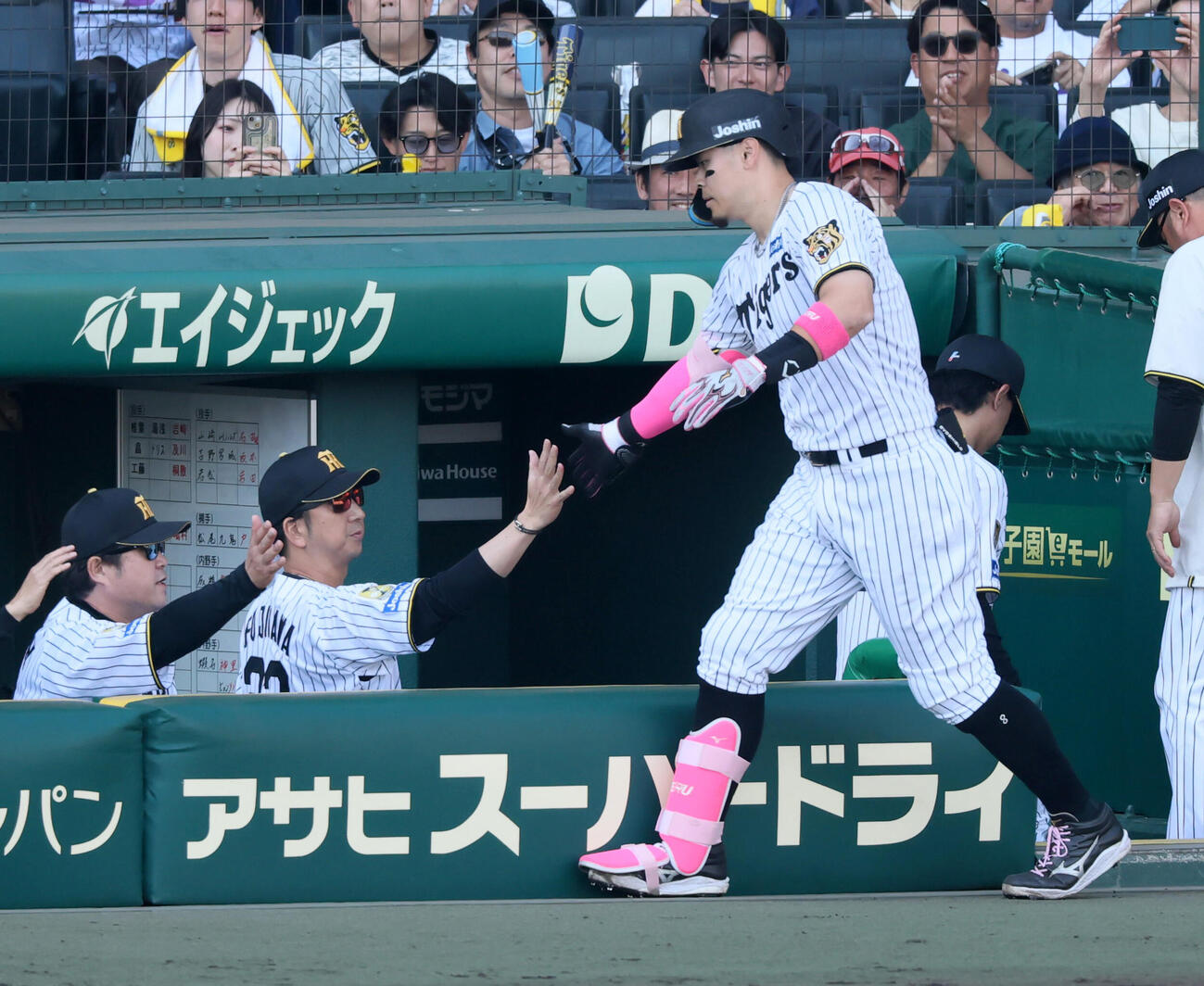 阪神対DeNA 6回裏阪神1死、佐藤輝明は右中間越えソロ本塁打を放ちベンチの藤川球児監督（左）とタッチする（撮影・加藤哉）