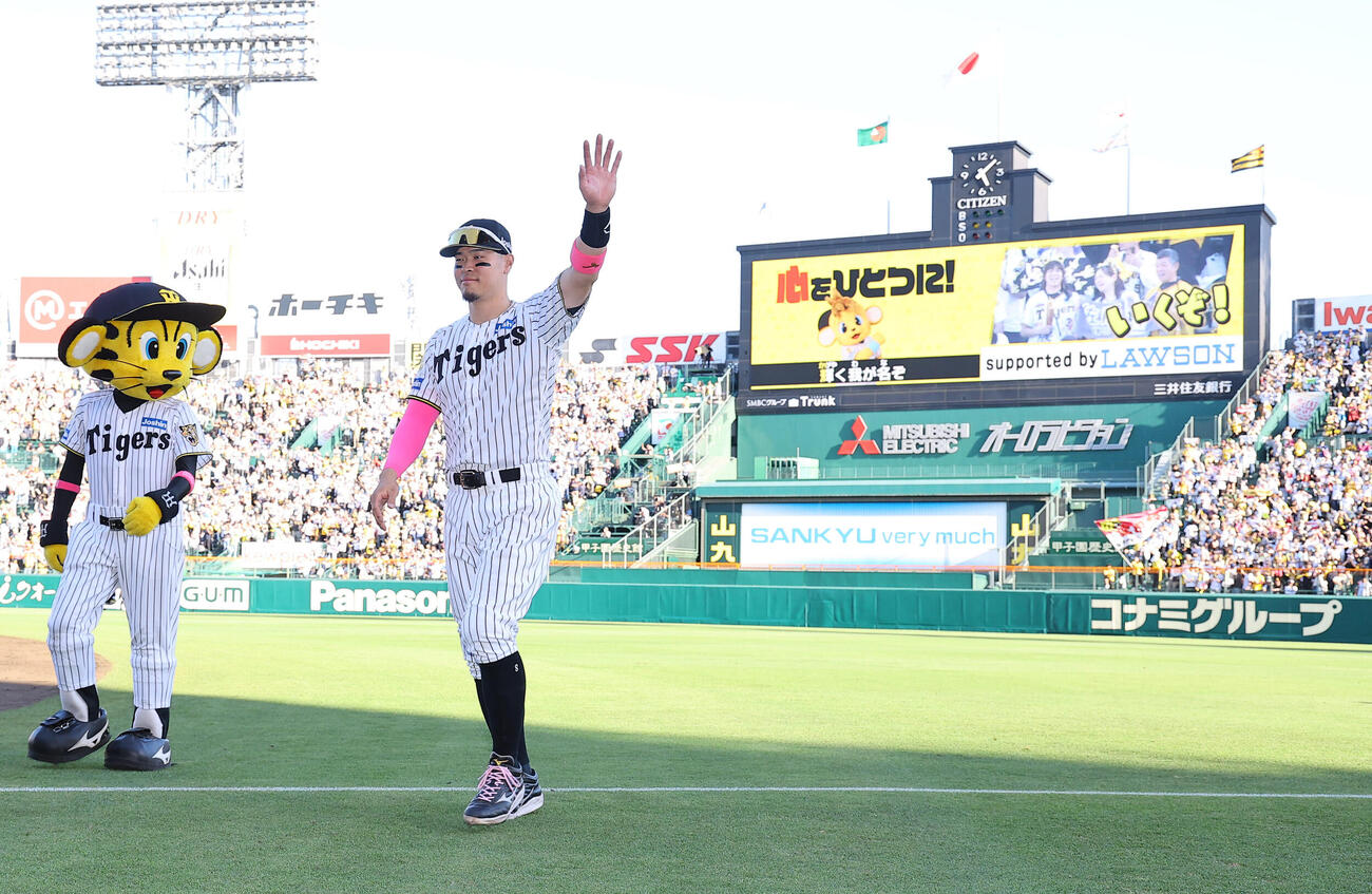 阪神対DeNA　ヒーローの佐藤輝明はファンの歓声に応えながらベンチに引き揚げる（撮影・上田博志）
