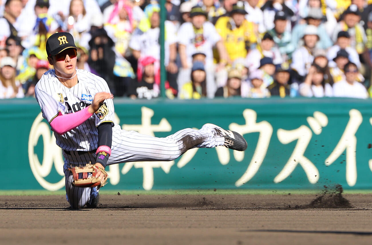 阪神対DeNA 8回表DeNA無死一塁、小幡竜平はクーパー・ヒュンメルの遊ゴロを軽快にさばく（撮影・上田博志）