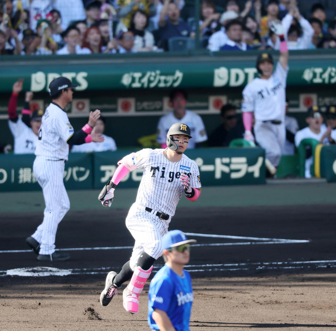 阪神対DeNA 6回裏阪神1死、佐藤輝明は左中間越えにソロ本塁打を放ちダイヤモンドを駆ける（撮影・加藤哉）