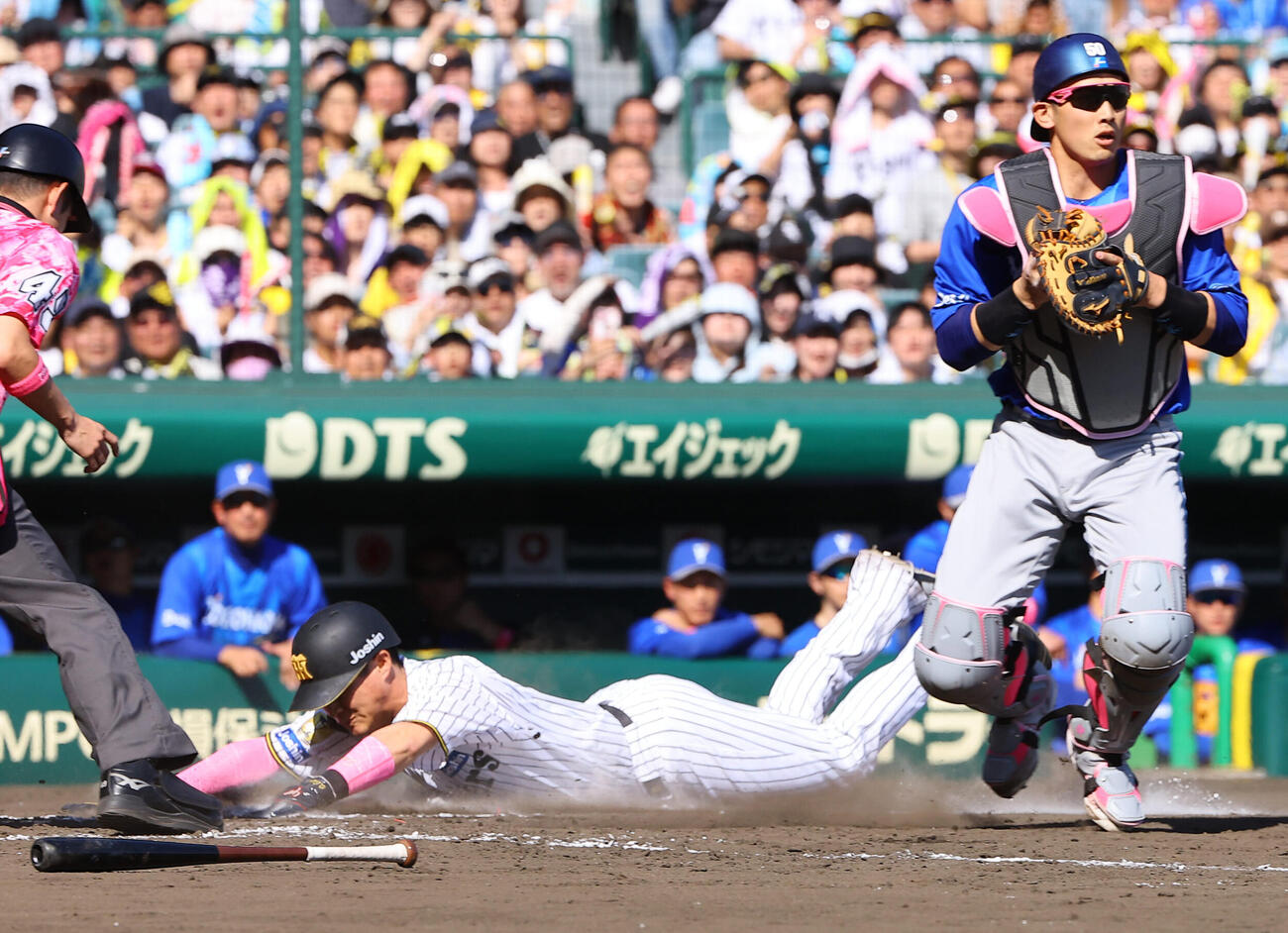 阪神対DeNA 5回裏阪神1死一、三塁、木浪聖也は才木浩人のスクイズで生還する（撮影・上田博志）