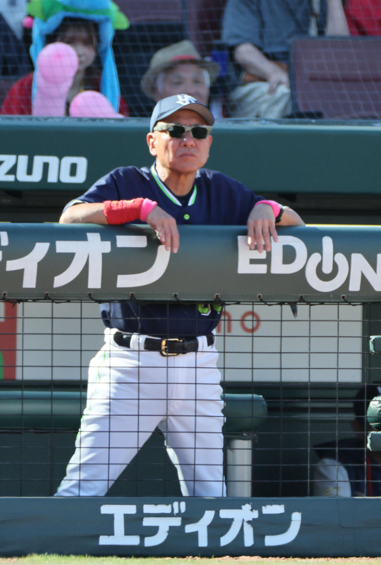 広島対ヤクルト　8回裏広島、ベンチのヤクルト池山隆寛監督（撮影・加藤孝規）