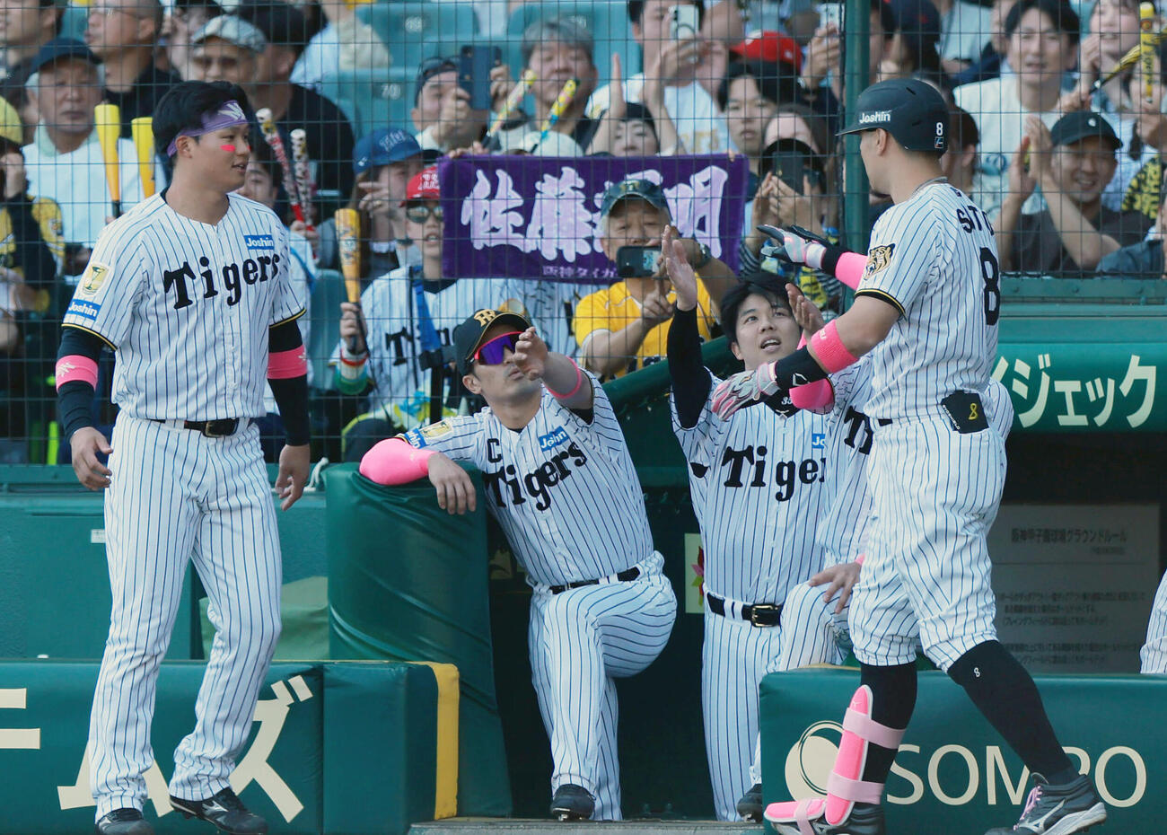 阪神対DeNA 6回裏阪神1死、佐藤輝明（右）はソロ本塁打を放ち祝福を受ける（撮影・上山淳一）