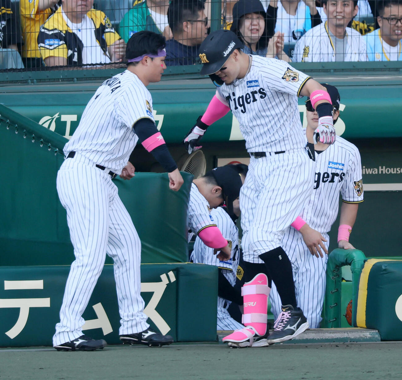阪神対DeNA 6回裏阪神1死、佐藤輝明は右中間越えソロ本塁打を放ちベンチ森下翔太（左）とポーズを決める（撮影・加藤哉）