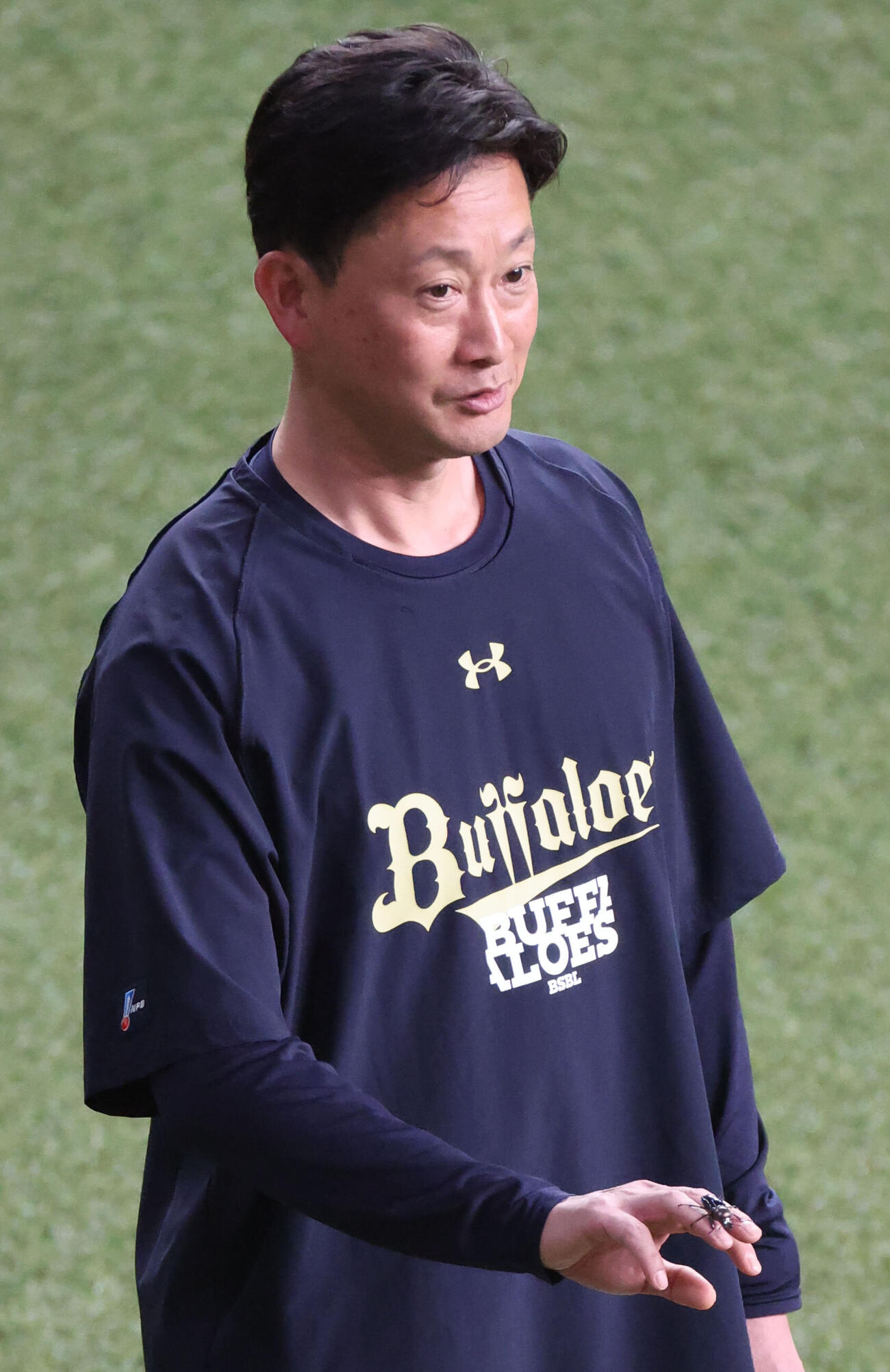 2026年5月、オリックス岸田護監督が外野で採集したニジイロクワガタ