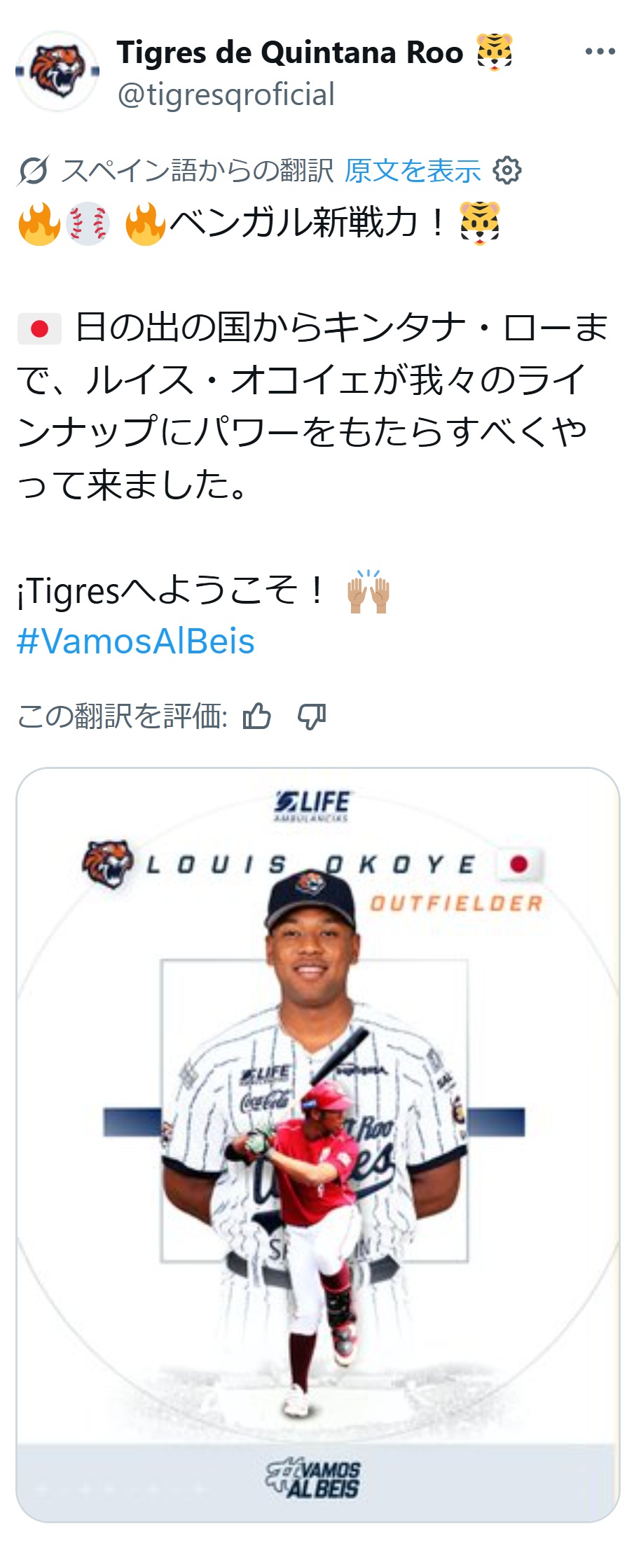 キンタナロー・タイガースのXから