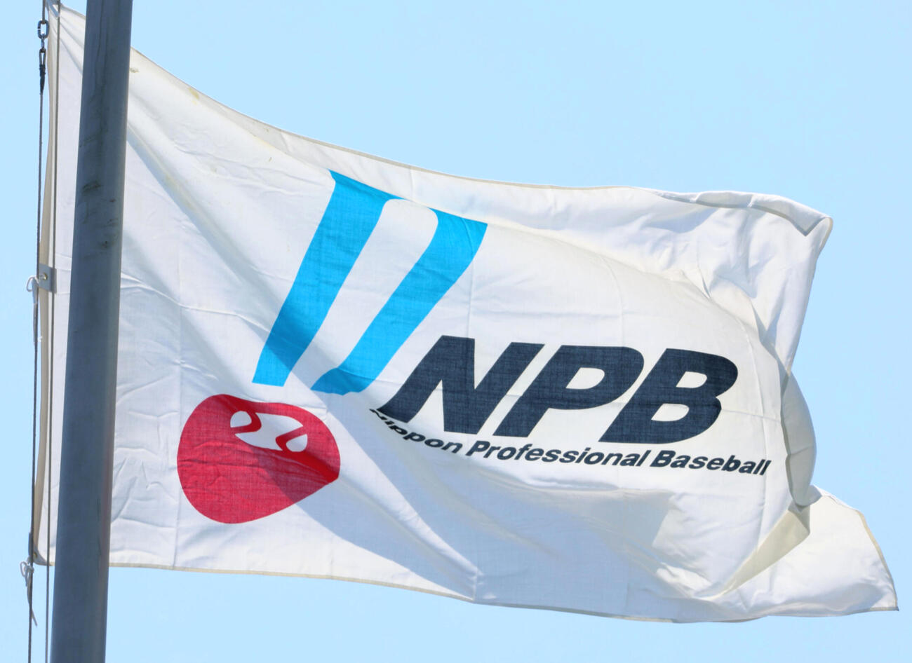 NPB旗