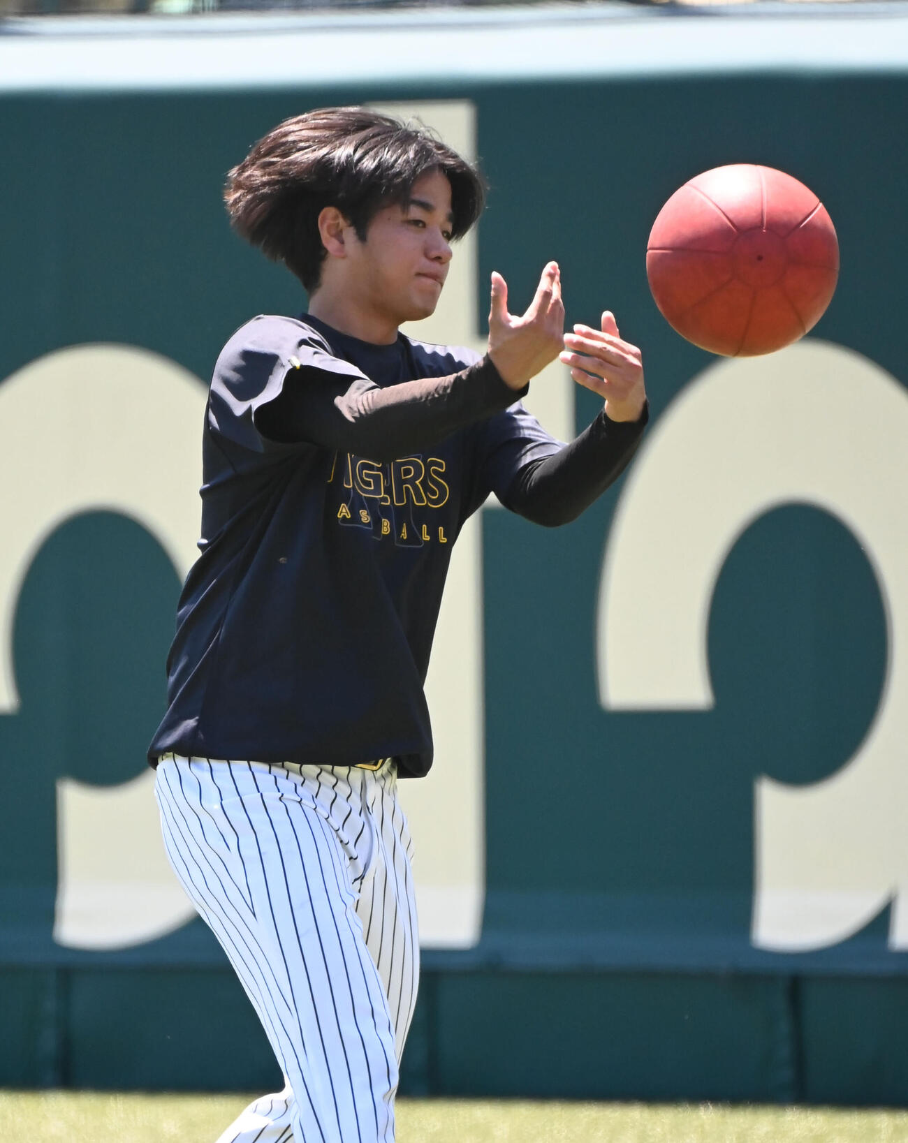 メディシンボールでトレーニングをする阪神高橋（撮影・石井愛子）