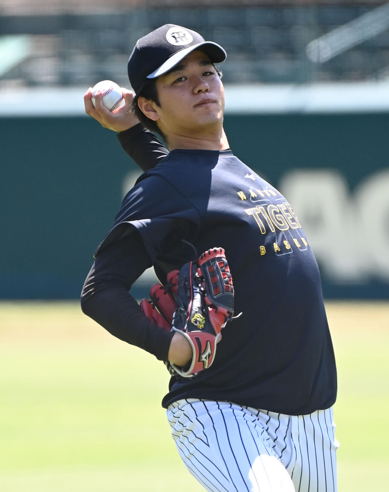 キャッチボールをする阪神高橋遥人（撮影・石井愛子）