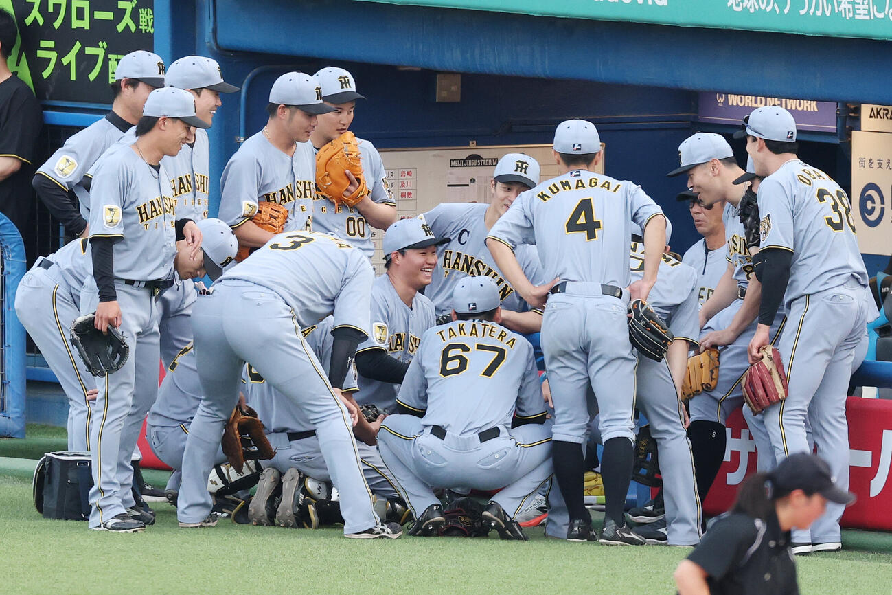 ヤクルト対阪神　試合前、円陣を組む阪神の選手たち（撮影・宮地輝）